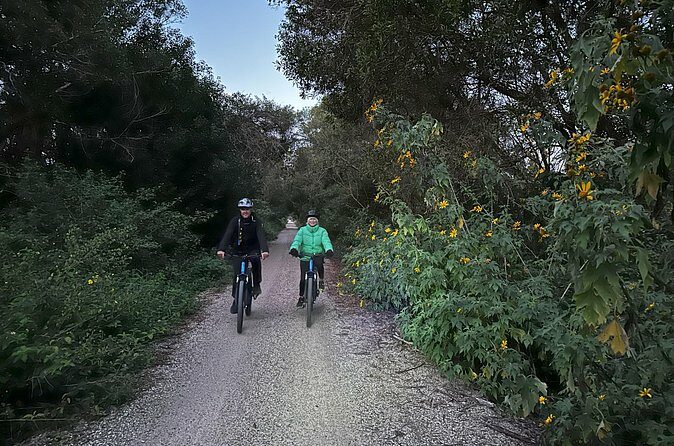 Glow Worm Tunnel Evening Guided Tour - FAQs