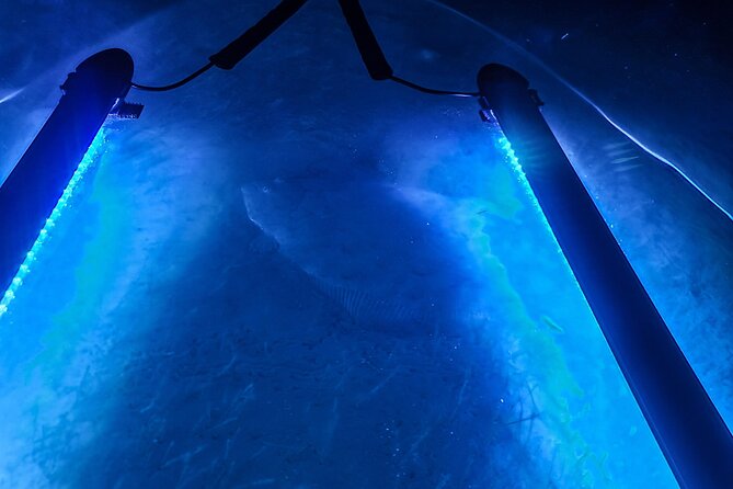 Glowing Kayak Tour Port OConnor - Bar Room Bay - Health and Safety Guidelines