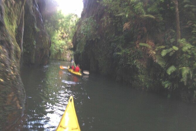 Glowworm Kayak Adventure on the Waikato River - A Closer Look at the Tour Itself