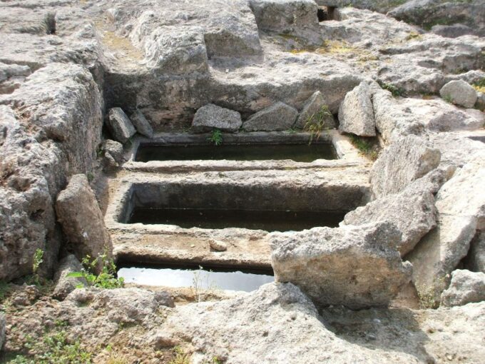 Gnatia Ruins and Archaeological Museum Private Guided Tour - Price and Duration