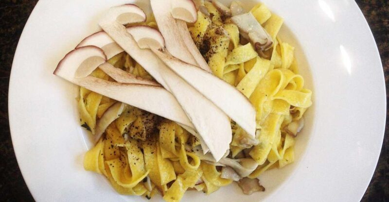 Gnocchi, Pasta, Tiramisu & Wine - Key Points