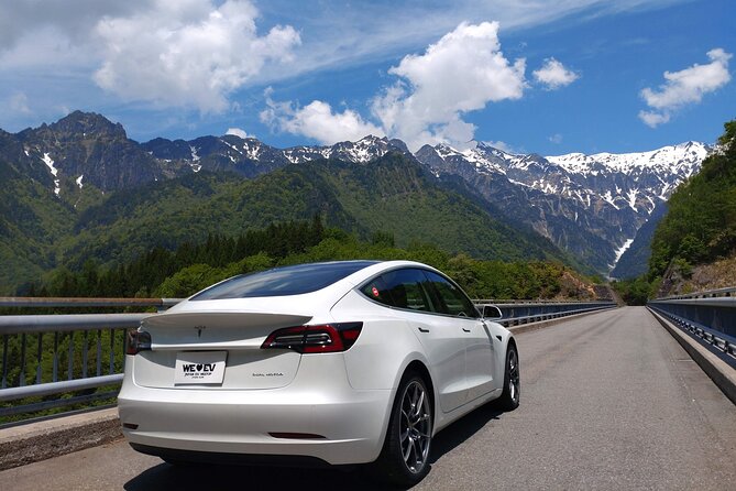 Go Anywhere With a Tesla Rental Car (Free Plan) - Additional Rental Information