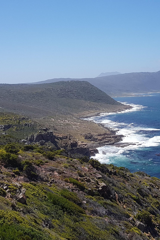Go! Cape Peninsula Tour: Cape Point, Boulders, Chapmans Peak - Tour Experience
