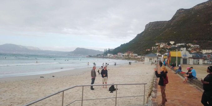 Go! Cape Peninsula Tour: Cape Point, Boulders, Chapmans Peak - Breathtaking Chapmans Peak Drive