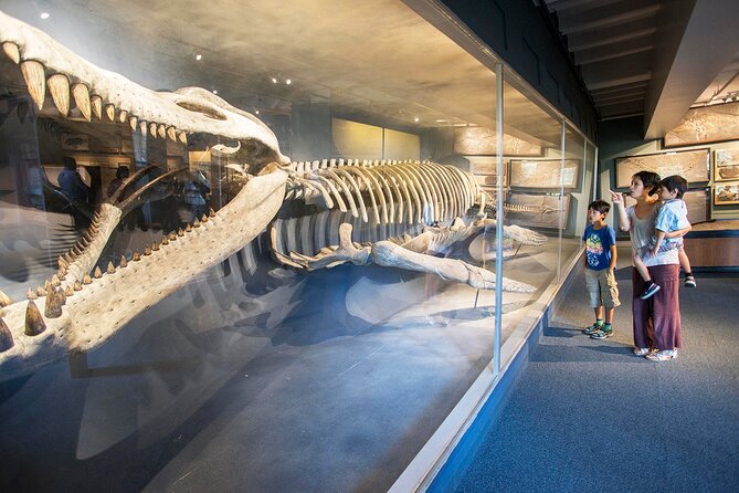 Go City: Boston Explorer Pass - Choose 2, 3, 4 or 5 Attractions - Planning With the Digital Guide
