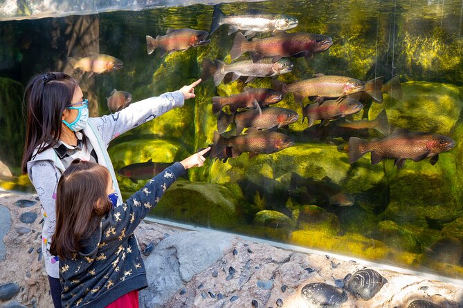Go City: Los Angeles All-Inclusive Pass: 40+ Attractions and Tours - Benefits of the All-Inclusive Pass