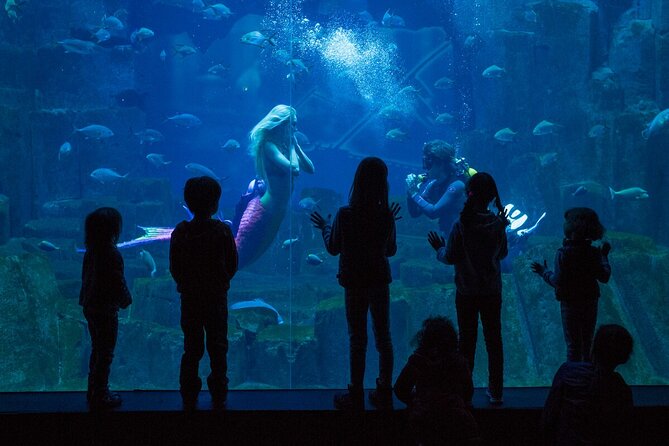 Go City | Paris All Inclusive Pass With Paris Museum Pass - Paris Museum Pass