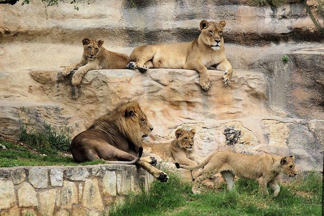 Go City: San Antonio Explorer Pass - Choose 2, 3, 4 or 5 Attractions - User Experience and Feedback