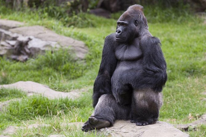 Go City: San Francisco Explorer Pass - Choose 2, 3, 4 or 5 Attractions - Key Points