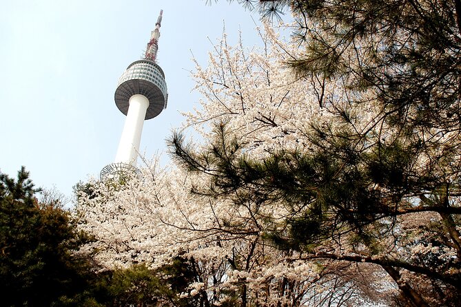 Go City: Seoul Explorer Pass - Choose 3, 4, 5, 6 or 7 Attractions - Customer Feedback and Experiences