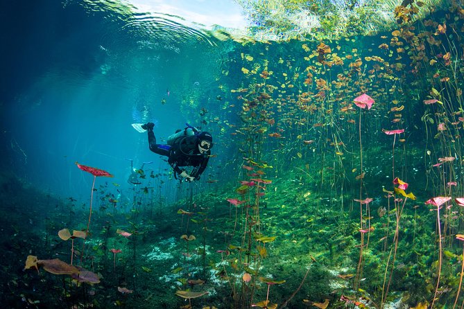 Go Dive Cenotes in Tulum - Included in the Tour