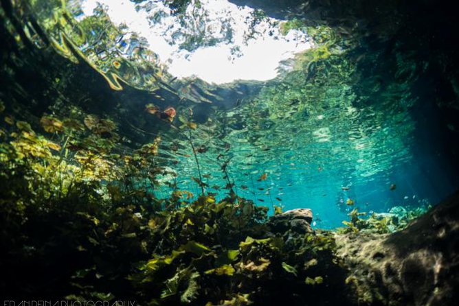Go Dive Cenotes in Tulum - Meeting and Pickup Locations