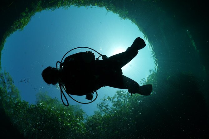 Go Dive Cenotes in Tulum - Health and Safety Requirements
