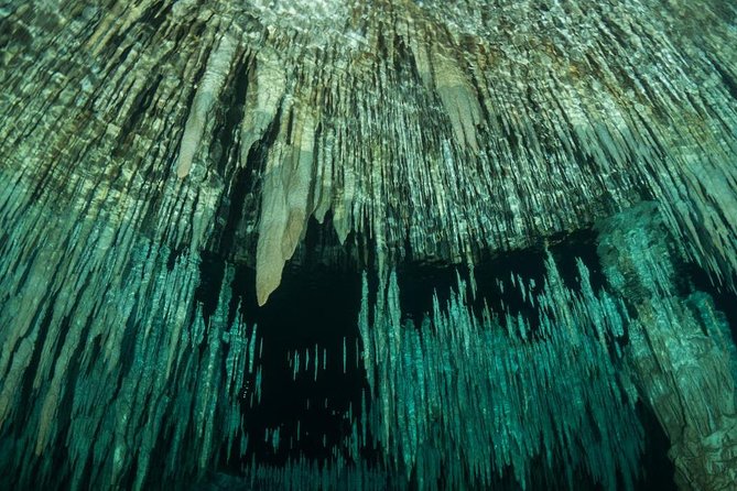 Go Dive Cenotes in Tulum - Pricing and Cancellation Policy