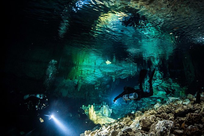 Go Dive Cenotes in Tulum - What to Expect Underwater