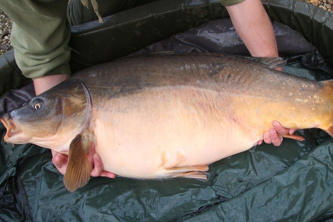 Go Fishing in London - Guided Fishing Excursion