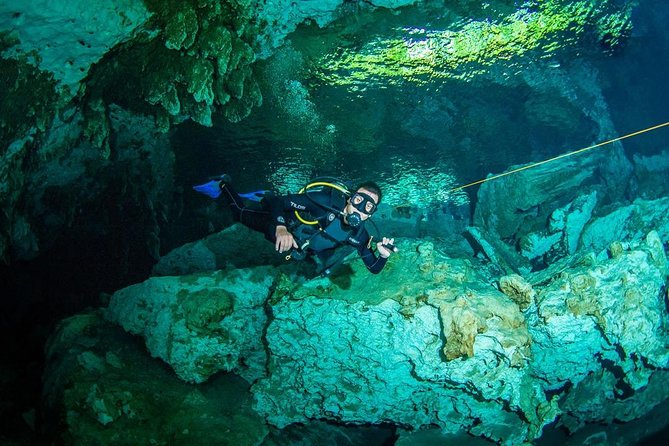 Go for 2 Dives in Cenote Dos Ojos for Certified Divers - Personalized Diving Experience