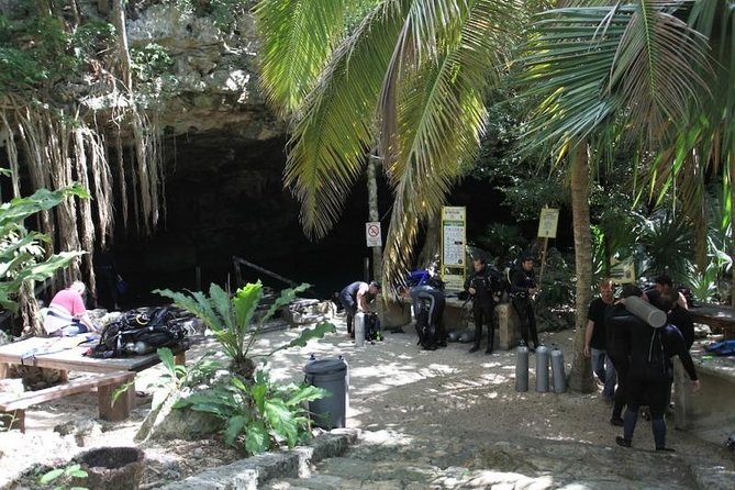 Go for 2 Dives in Cenote Dos Ojos for Certified Divers - Discover Underwater Formations