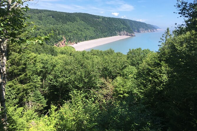 Go Fundy Tours - Group Size and Accessibility