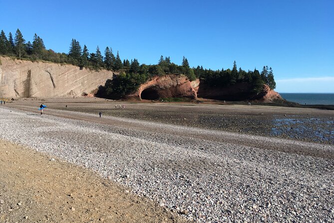 Go Fundy Tours - Physical Requirements