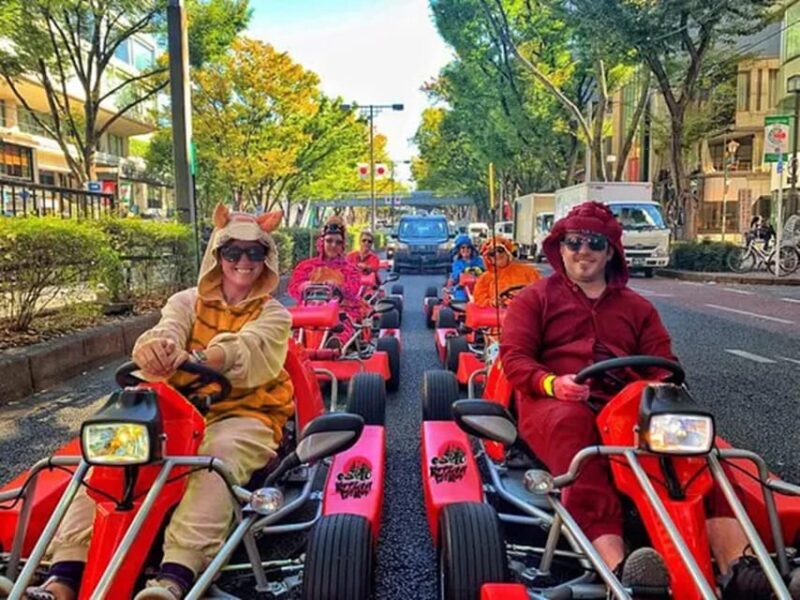 Go Kart Tokyo Bay Route | High Adrenalin in 120 Minutes - Restrictions and Requirements