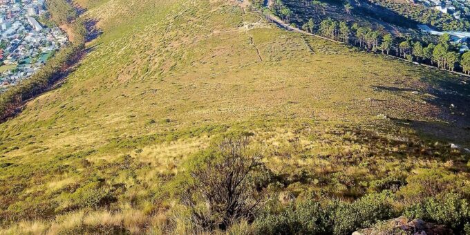 Go! Lions Head : Safe, Informative Hike, Stunning 360° Views - Exploring the Scenic Route