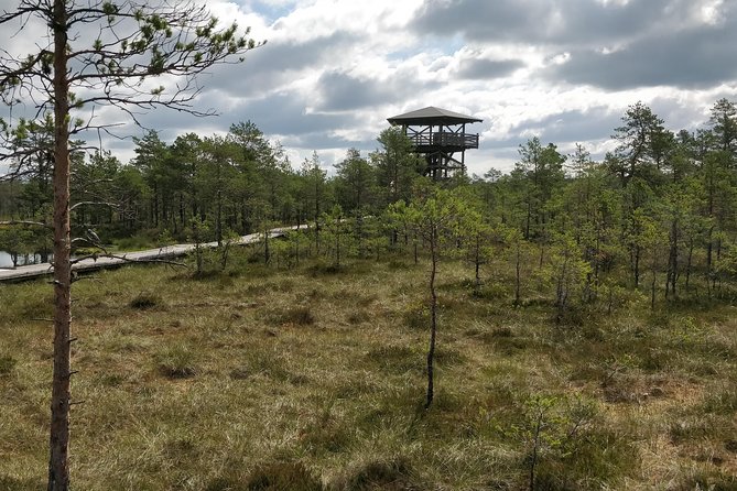 Go North – Private 1 Day Trip to Estonian Nature - Meeting and Pickup Information