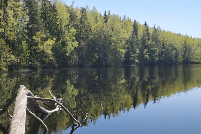 Go North – Private 1 Day Trip to Estonian Nature - Experience Highlights