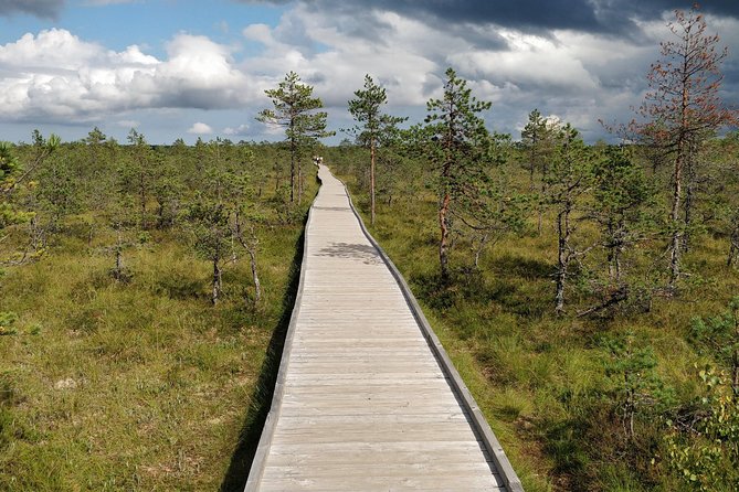 Go North – Private 1 Day Trip to Estonian Nature - Lahemaa National Park