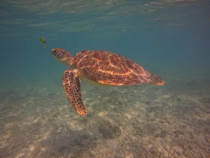 Go Pro Snorkling Trip 3 Islands. - Key Points
