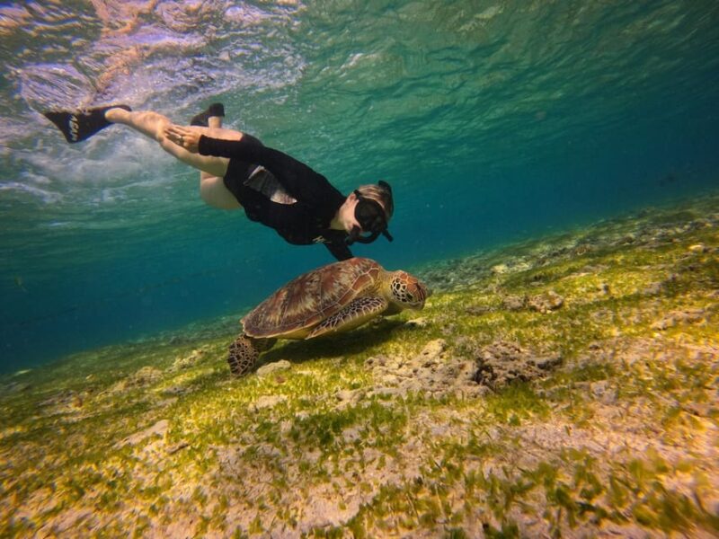 Go Pro Snorkling Trip 3 Islands. - Itinerary and Highlights