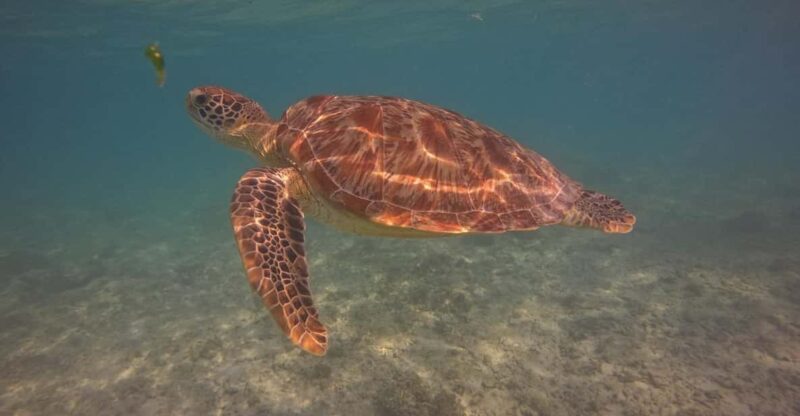 Go Pro Snorkling Trip 3 Islands. - Inclusions
