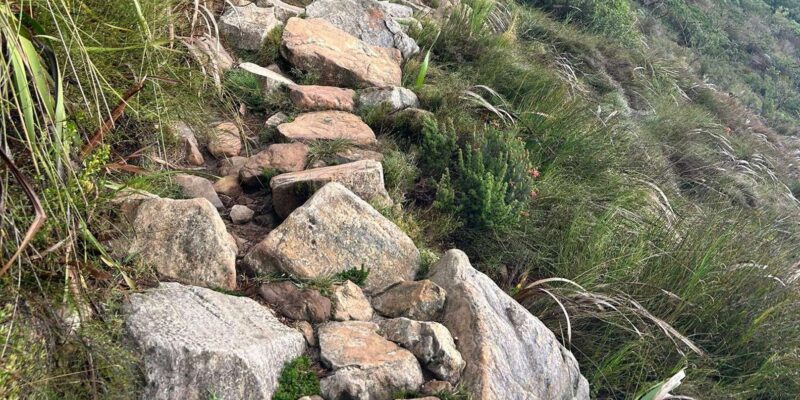 Go! Table Mountain: Safe, Informative Guided Hike (Half Day) - Key Points
