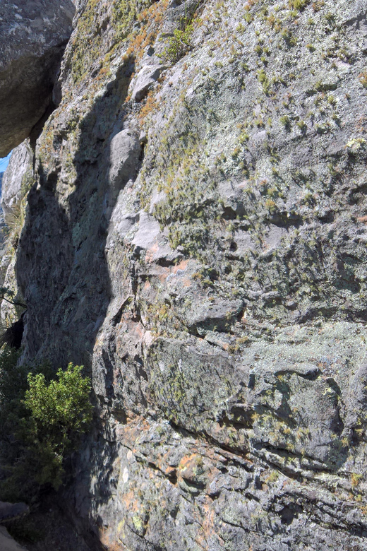 Go! Table Mountain: Safe, Informative Guided Hike (Half Day) - Inclusions and Optional Services