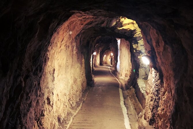 Go Tours 360° Experience in Gibraltar With Professional Guide - Tour Highlights and Inclusions
