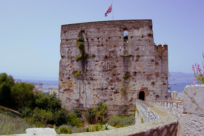 Go Tours 360° Experience in Gibraltar With Professional Guide - Customer Ratings and Reviews