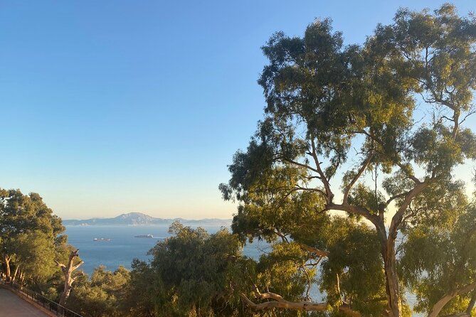 Go Tours Private Rock Experience Tour in Gibraltar - Worth The Stay