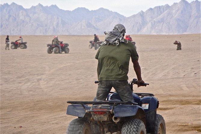 Go Wild and Drive Quad - Key Points