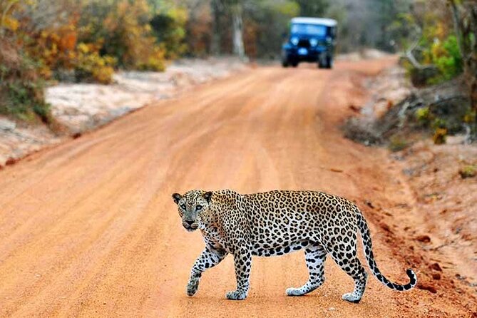 GO WILD! Double Safari Day Trip (Yala & Udawalawe) - Private & All Inclusive - Included Amenities and Services