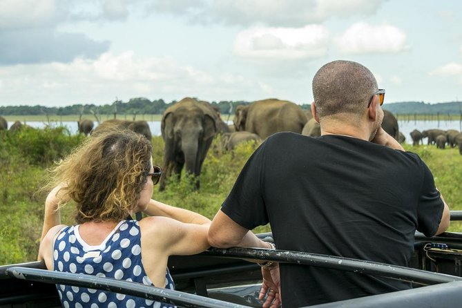 GO WILD! Double Safari Day Trip (Yala & Udawalawe) - Private & All Inclusive - Suitability and Accessibility