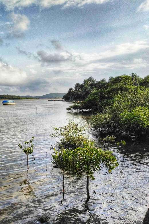 Goa: Adventure Trip At Mandovi River - Pickup and Drop-off Details
