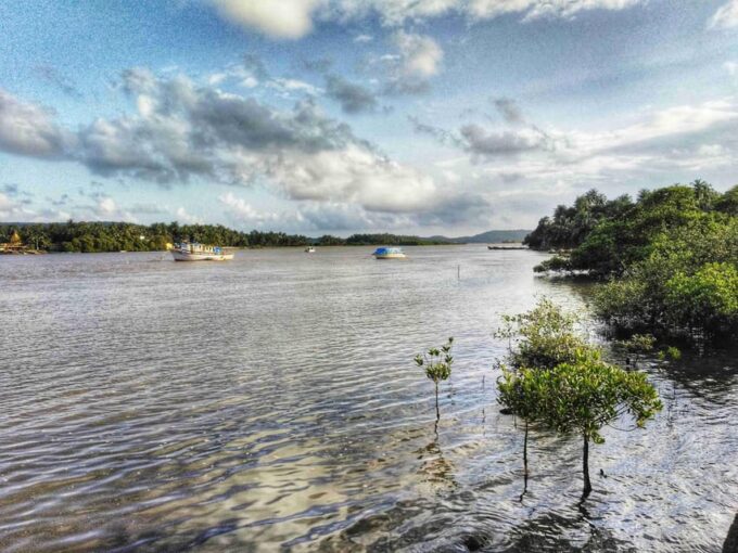 Goa: Adventure Trip At Mandovi River - Frequently Asked Questions