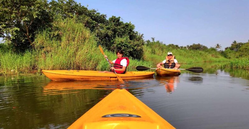 Goa: Backwaters and Mangrove Kayaking Experience - Key Points