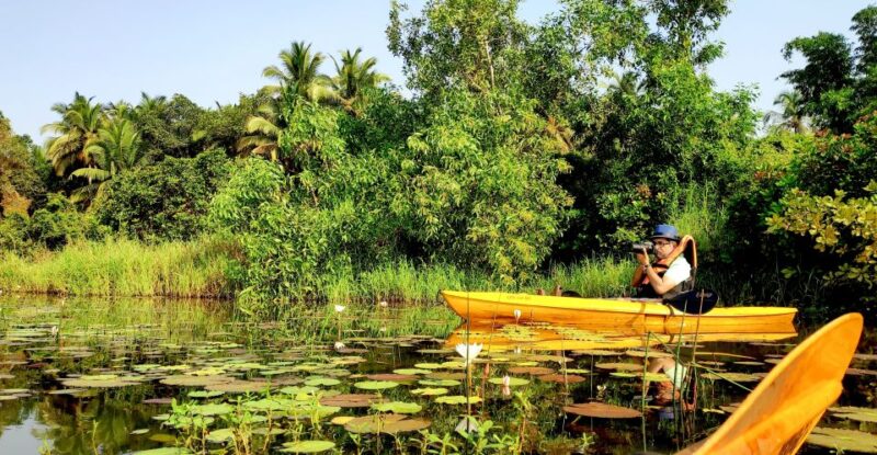 Goa: Backwaters and Mangrove Kayaking Experience - Meeting and Preparation