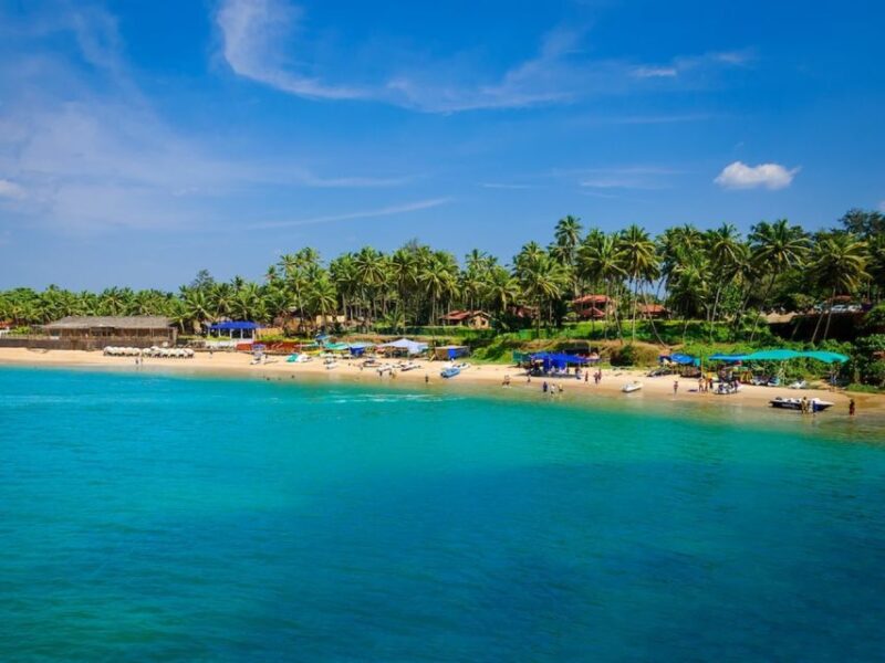 Goa: Baga Beach & The Basilica of Bom Jesus Highlights Tour - Languages and Tour Guide