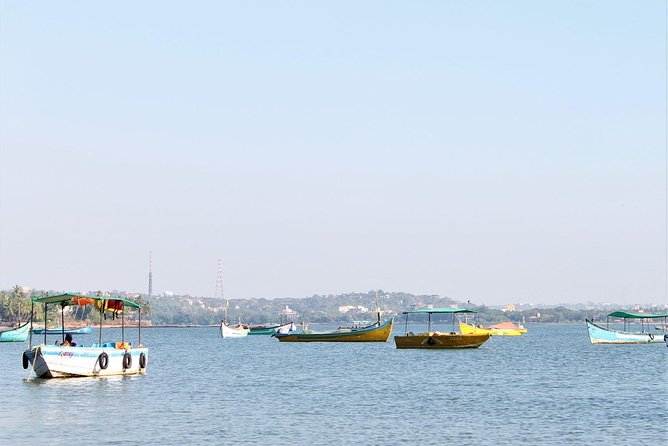 Goa Dolphin Tales Tour - Experience Highlights