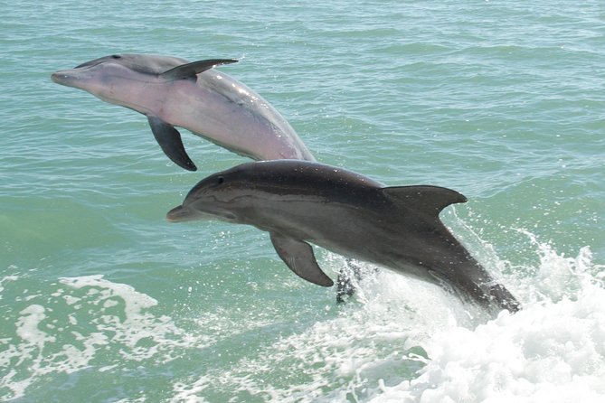 Goa Dolphin Tales Tour - Inclusions and Exclusions