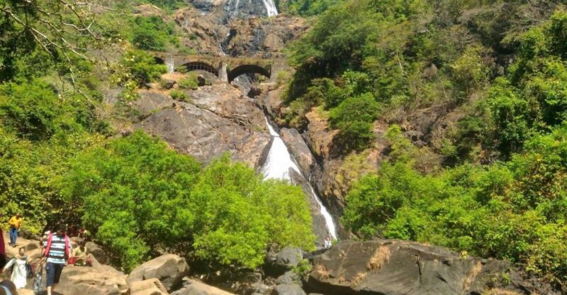 Goa: Dudhsagar Waterfall & Spice Farm Tour With Jeep Safari - Detailed Itinerary
