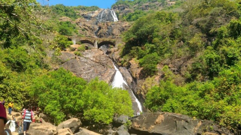 Goa: Dudhsagar Waterfall & Spice Farm Tour With Jeep Safari - Spice Plantation Tour