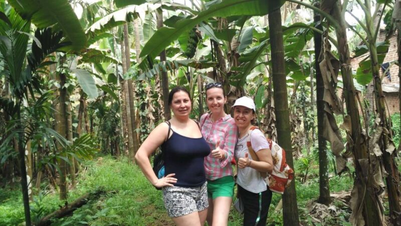 Goa in 1 Day Tour With Churches,Temples,Spice Farm Tour - Price and Duration